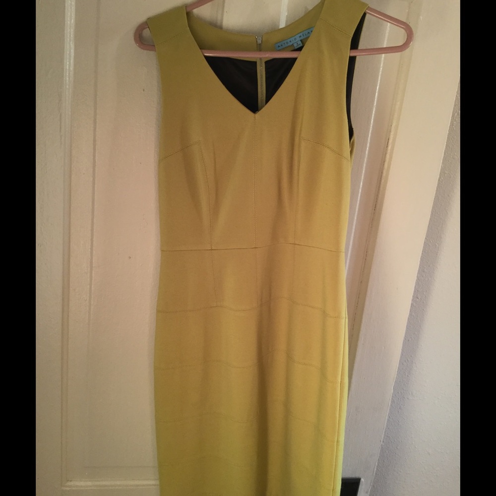 Classy yellow/green Antonio Melani dress
